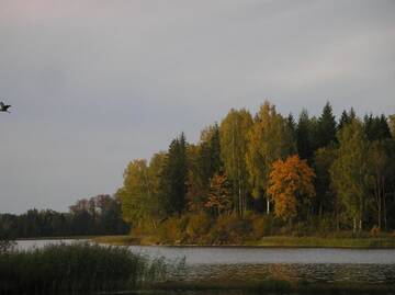 Фото номера Дом для отпуска Дома для отпуска Pohlametsa Holiday House г. Nüpli 41